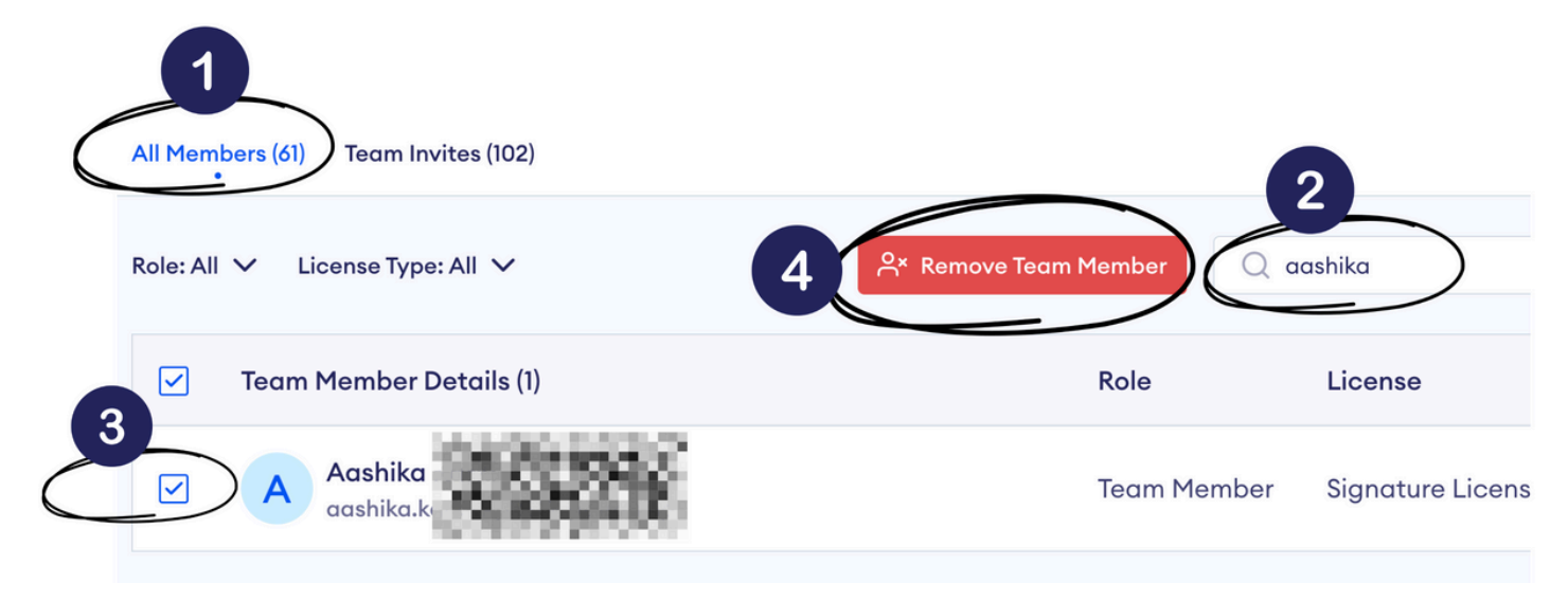 remove-team-members